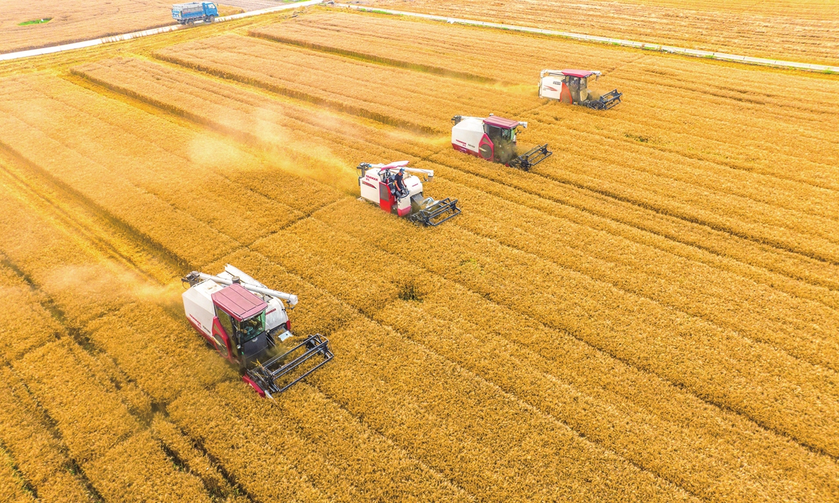 Farmers drive machines to harvest wheat in Hai’an city, East China’s Jiangsu Province on June 7, 2023. As a total of 550,000 mu (36,666.7 hectares) of wheat in the city enters the harvest season, local farmers work day and night to ensure that the crops can be collected quickly. Photo: IC