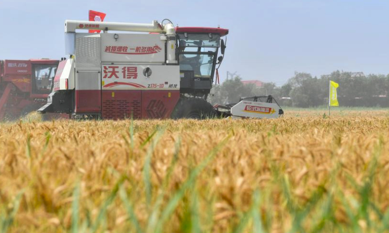 Harvesters work during an activity organized by the local goverment to demonstrate agricultural machines in Caigongzhuang Township of Jinghai District, north China's Tianjin, June 11, 2023. Summer harvest in north China's Tianjin has begun. Modern agricultural technology and machinery have been applied in the region to help local farmers increase yield and attain a bumper harvest. (Xinhua/Sun Fanyue)