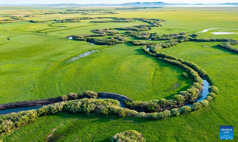 This aerial photo taken on June 12, 2023 shows the scenery of a grassland in Xilingol League of north China's Inner Mongolia Autonomous Region.(Photo: Xinhua)