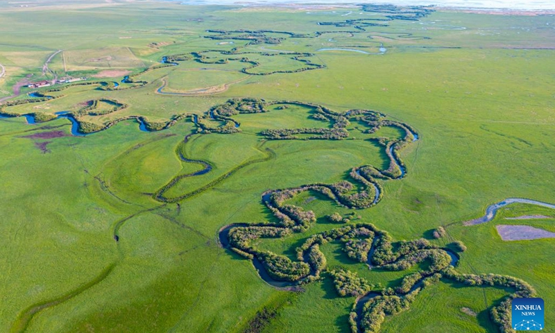 This aerial photo taken on June 12, 2023 shows the scenery of a grassland in Xilingol League of north China's Inner Mongolia Autonomous Region.(Photo: Xinhua)