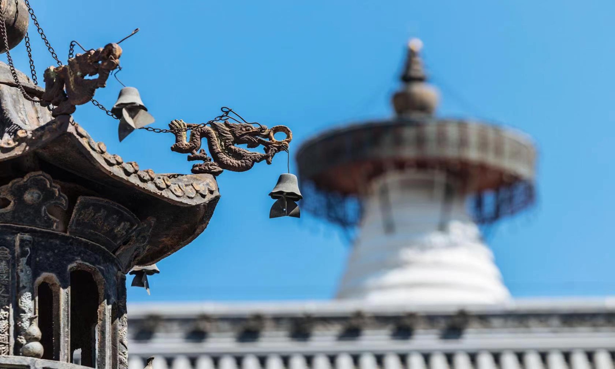 Beijing's White Dagoba celebrates China’s 7th Cultural and Natural Heritage Day, launching cultural week on June 10, 2023. Photos: Li Hao/GT