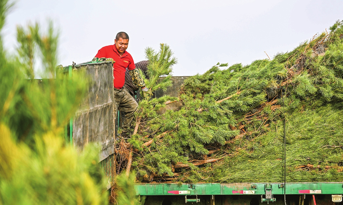 A sand control worker transports saplings at the Horqin Zuoyi Rear Banner, Inner Mongolia Autonomous region, on April 15, 2023. Photo: Xinhua