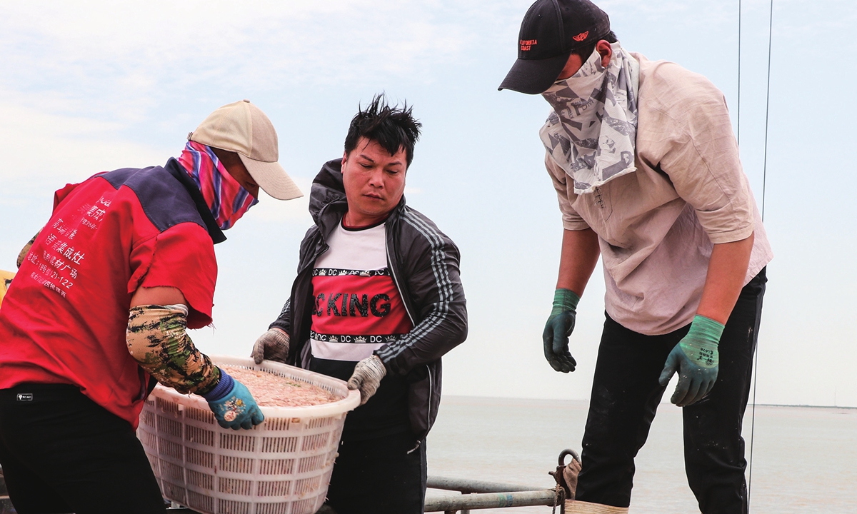 Fishermen process hairy shrimp in a port in Lianyungang, East China's Jiangsu Province on June 12, 2023.  The country's gross marine product grew 5.1 percent year-on-year to 2.3 trillion yuan ($332.78 billion) in the first three months, accounting for 8.2 percent of GDP, official data showed. Photo: VCG