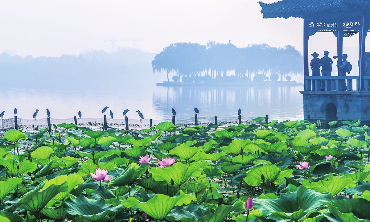 Daming Lake in Jinan Photo: VCG
