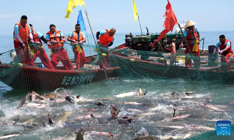 Fishermen catch fish using a net at the Bosten Lake in Bohu County, northwest China's Xinjiang Uygur Autonomous Region, June 23, 2023. Photo: Xinhua