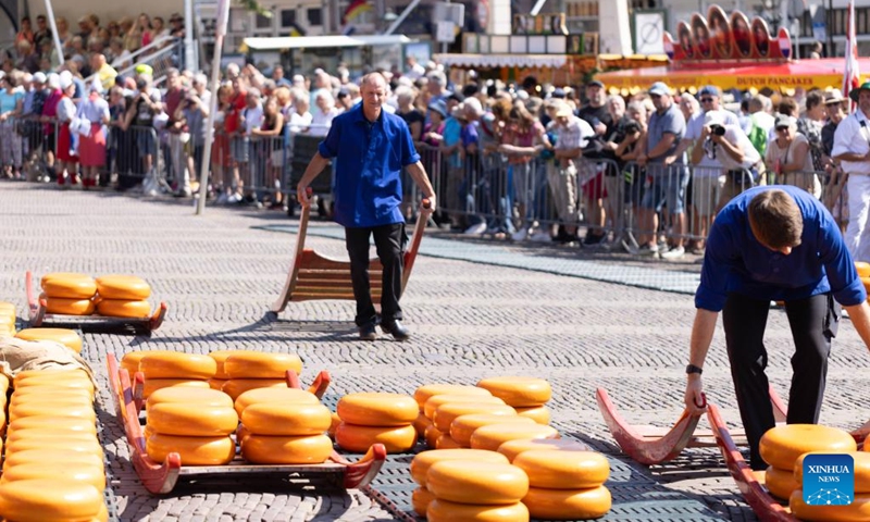 People transport cheeses at a cheese market in Alkmaar, the Netherlands, on June 23, 2023. Every Friday in the small town of Alkmaar, cheesemongers sell their products at the Alkmaar cheese market. (Photo by Sylvia Lederer/Xinhua)