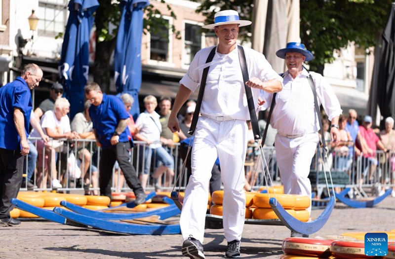 People transport cheeses at a cheese market in Alkmaar, the Netherlands, on June 23, 2023. Every Friday in the small town of Alkmaar, cheesemongers sell their products at the Alkmaar cheese market. (Photo by Sylvia Lederer/Xinhua)