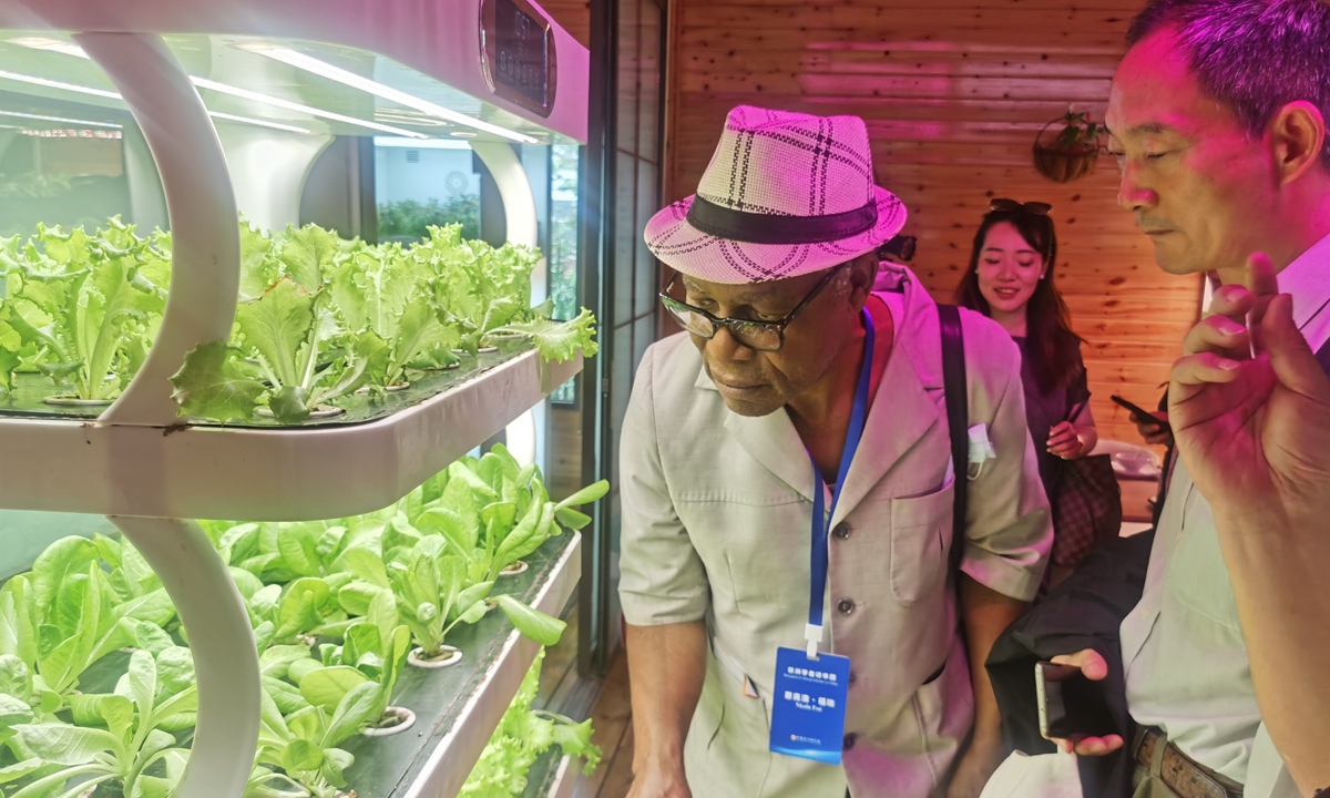 Nkolo Foe, a scholar from Cameroon, looks vegetables grown under LED light panels at the Tongfu Smart Farm in Taiyuanzhuang village, Zhengding county, along with other African scholars, on May 15, 2023. Photo: Hu Yuwei/GT