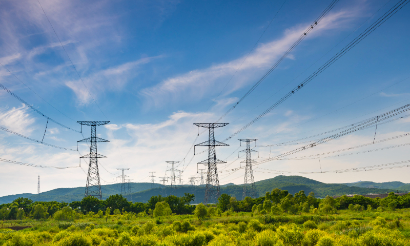 Power transmission lines are seen at Shaoguo village, Northeast China's Liaoning Province, on June 17, 2023. Photo: VCG