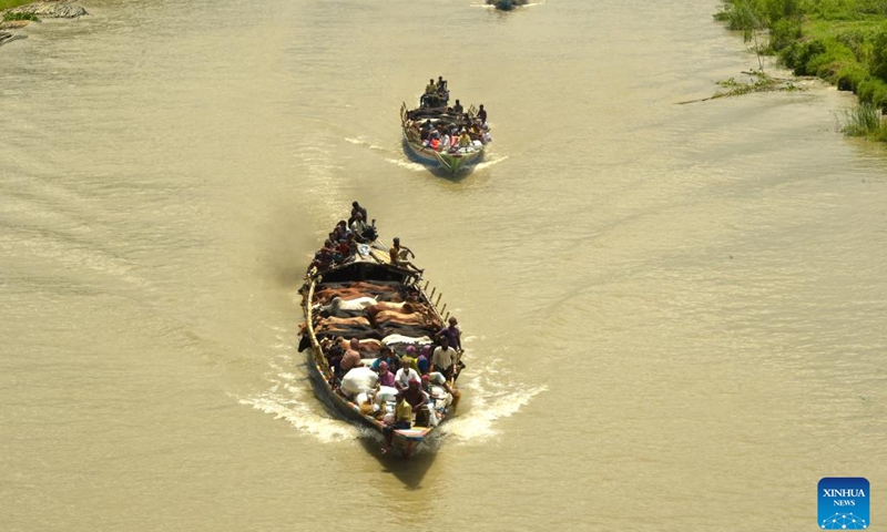 Herds of cattle are transported on vessels in Munshiganj, Bangladesh, on June 25, 2023.(Photo: Xinhua)