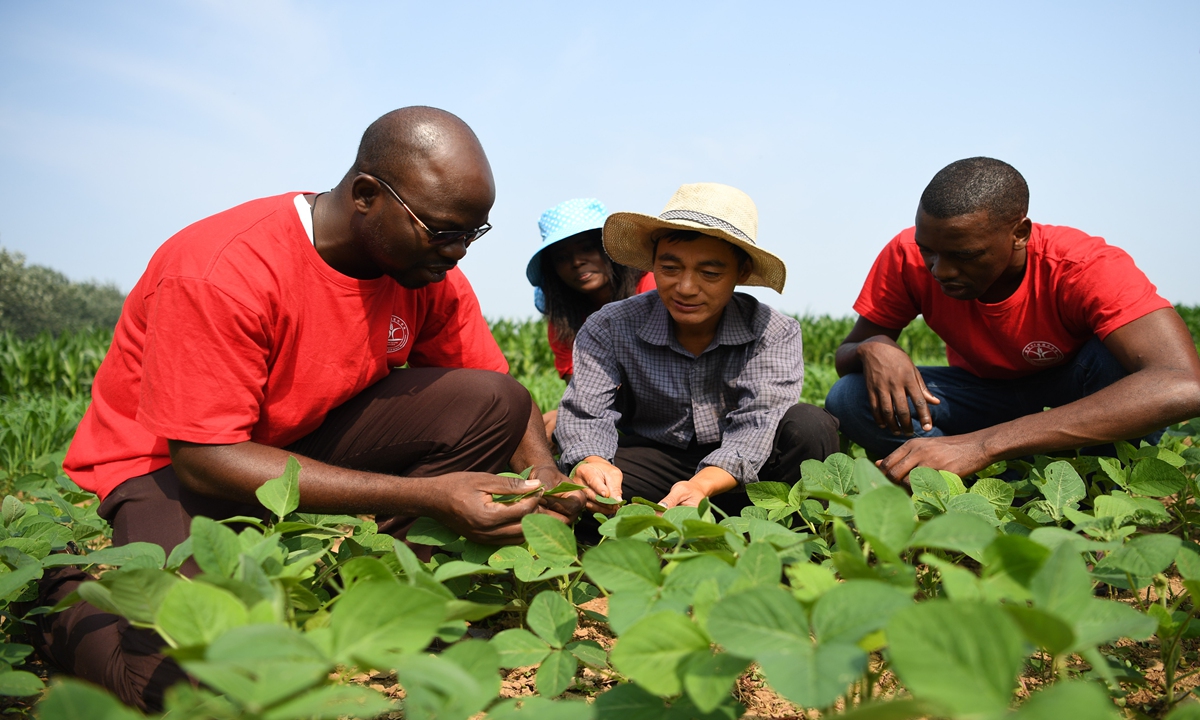Zigani Saturnin (left), a student from Burkina Faso who has studied in the China Agricultural University, works in a field at an agricultural experimental base, as part of the China-Africa 