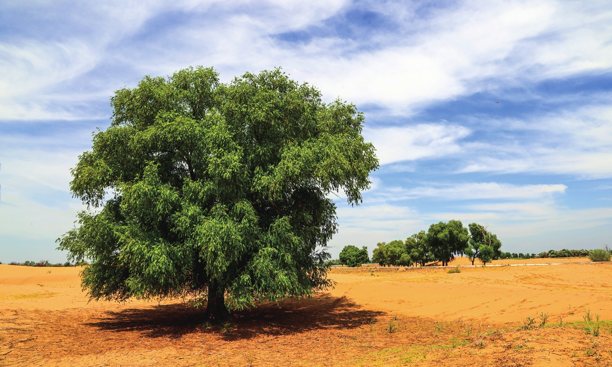 A desert view of Wuhai, Inner Mongolia Autonomous Region Photo: VCG