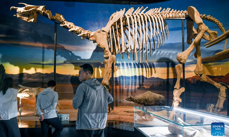 People visit the Turpan Museum in Turpan, northwest China's Xinjiang Uygur Autonomous Region, June 25, 2023. The city of Turpan has received 2.53 million tourist visits from June 1 to 28, an increase of nearly 40 percent over the same period in 2022. (Photo: Xinhua)