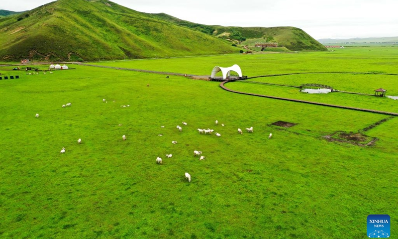 This aerial photo taken on July 5, 2023 shows the summer scenery of the Ulan Mod grassland in Horqin Right Wing Front Banner of Hinggan League, north China's Inner Mongolia Autonomous Region.(Photo: Xinhua)