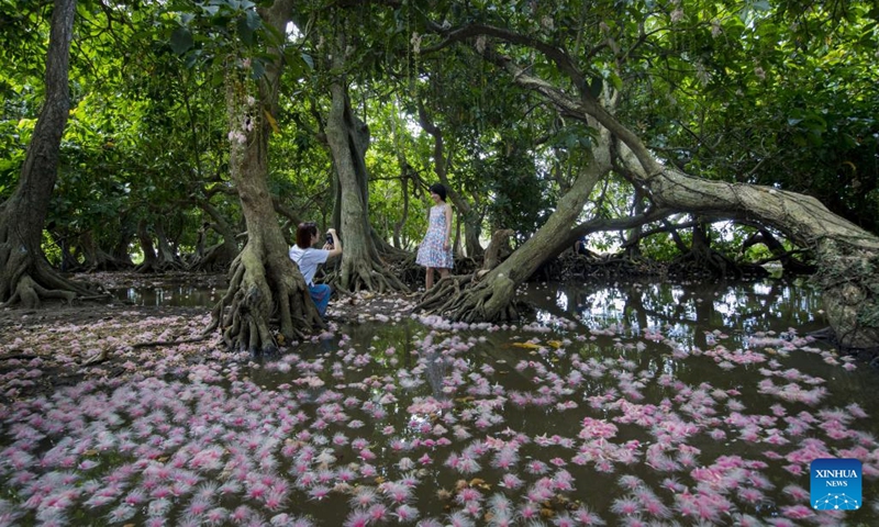 A tourist poses for photos in Yurui forest in Qili Village, Danzhou City, south China's Hainan Province, June 22, 2023.(Photo: Xinhua)
