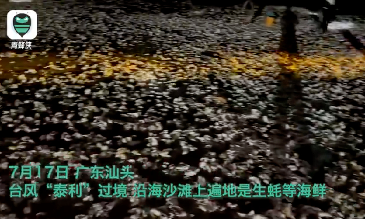 Typhoon “Taili” blew oysters, scallops, clams and other small seafood to the beaches of South China’s Guangdong Province on Monday. Photo: web