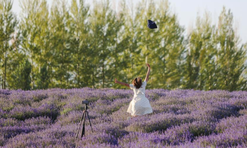 A tourist poses for photos in a lavender field in Sigong Village, Huocheng County, northwest China's Xinjiang Uygur Autonomous Region, July 12, 2023. Sigong Village has planted 12,000 mu (about 800 hectares) of lavender. The lavender planting bases here have helped promote local tourism and the lavender processing industry. In 2022, per capita income in Sigong Village reached 22,000 yuan (about 3,080 US dollars). (Xinhua/Hao Zhao)