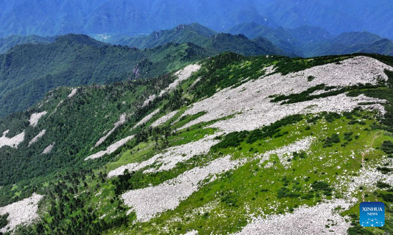 This aerial photo taken on July 21, 2023 shows the scenery at the Zhuque National Forest Park in Xi'an, northwest China's Shaanxi Province. (Xinhua/Liu Xiao)