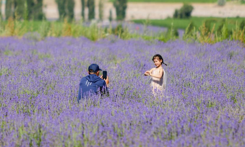 A tourist poses for photos in a lavender field in Sigong Village, Huocheng County, northwest China's Xinjiang Uygur Autonomous Region, July 12, 2023. Sigong Village has planted 12,000 mu (about 800 hectares) of lavender. The lavender planting bases here have helped promote local tourism and the lavender processing industry. In 2022, per capita income in Sigong Village reached 22,000 yuan (about 3,080 US dollars). (Xinhua/Hao Zhao)