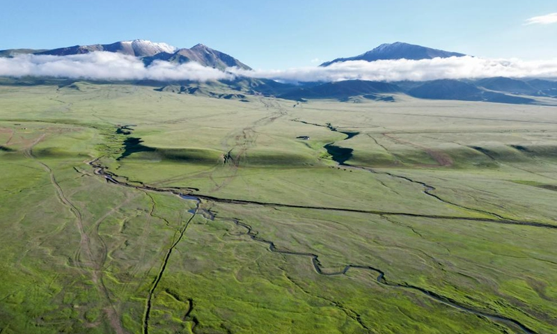 This aerial photo taken on July 7, 2023 shows a view of the Bayan Bulag grassland in Hejing County, Bayingolin Mongolian Autonomous Prefecture, northwest China's Xinjiang Uygur Autonomous Region. Midsummer is one of the best time of year to visit the Bayan Bulag grassland in Hejing County. (Xinhua/Hao Zhao)