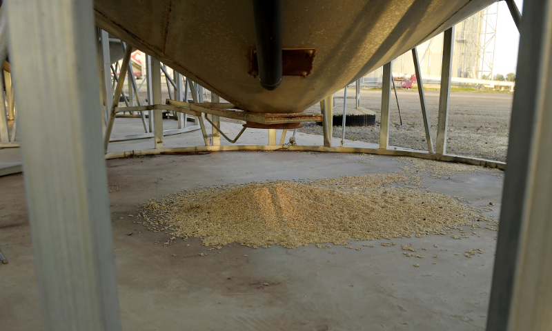 A pile of barley sits beneath a silo at a grain facility in Balliang, Victoria, Australia, on May 18, 2020. Photo: VCG