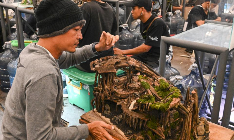 A participant makes an ornament of the aquarium during the Nusantara Aquatic 2023 in Tangerang, Banten Province, Indonesia, July 15, 2023. The Nusantara Aquatic (Nusatic) is an exhibition and a contest for ornamental fish in Indonesia. (Xinhua/Veri Sanovri)
