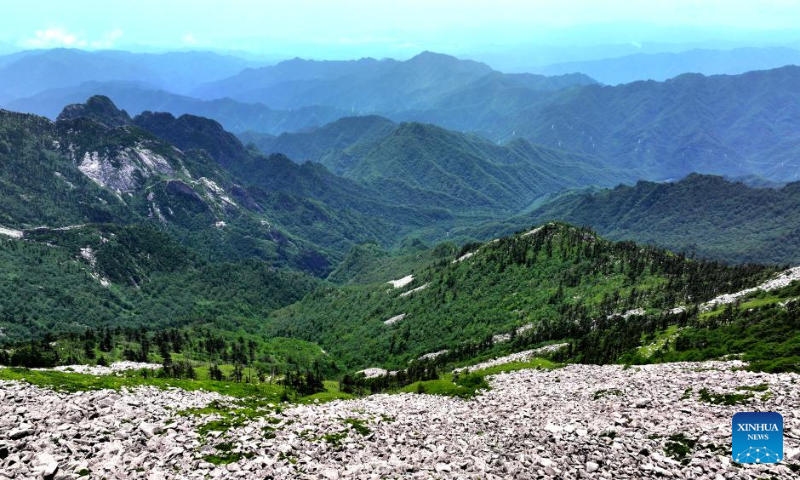 This aerial photo taken on July 21, 2023 shows the scenery at the Zhuque National Forest Park in Xi'an, northwest China's Shaanxi Province. (Xinhua/Liu Xiao)