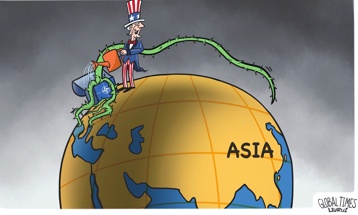 Spreading chaos.Illustration: Liu Rui/GT