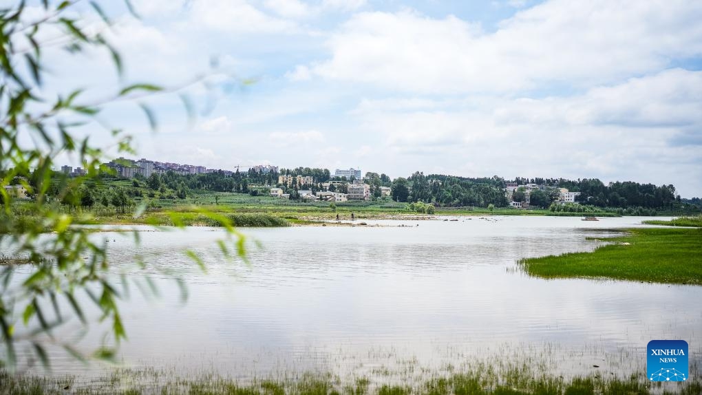 This photo taken on July 13, 2023 shows a view of the Caohai National Nature Reserve in the Yi, Hui and Miao Autonomous County of Weining, southwest China's Guizhou Province.(Photo: Xinhua)
