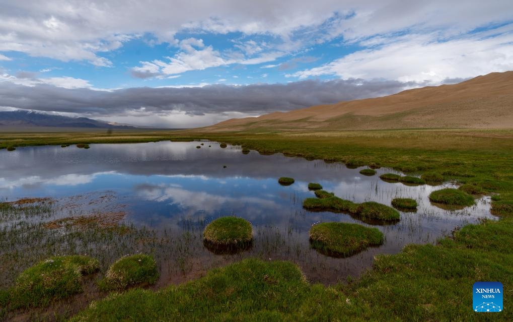 This photo taken on July 1, 2023 shows a wetland in the Altun Mountains National Nature Reserve in northwest China's Xinjiang Uygur Autonomous Region. With an average altitude of 4,580 meters, the Altun Mountains National Nature Reserve covers a total area of 45,000 square kilometers and is a representative of plateau desert ecosystem in China.(Photo: Xinhua)