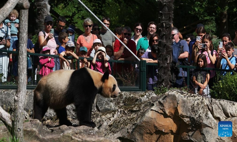 People watch the giant panda Yuan Meng at Beauval Zoo in Saint-Aignan, France, on July 24, 2023. Yuan Meng, the first giant panda born in France in 2017, will return to China on Tuesday. (Xinhua/Gao Jing)