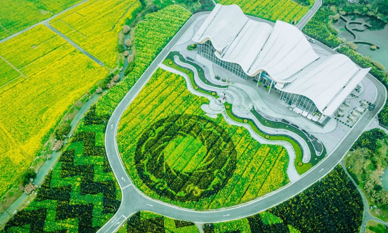 This aerial photo shows the Sun and Immortal Birds Gold Ornament in a flower field in Chengdu of southwest China's Sichuan Province. Photo: Xinhua