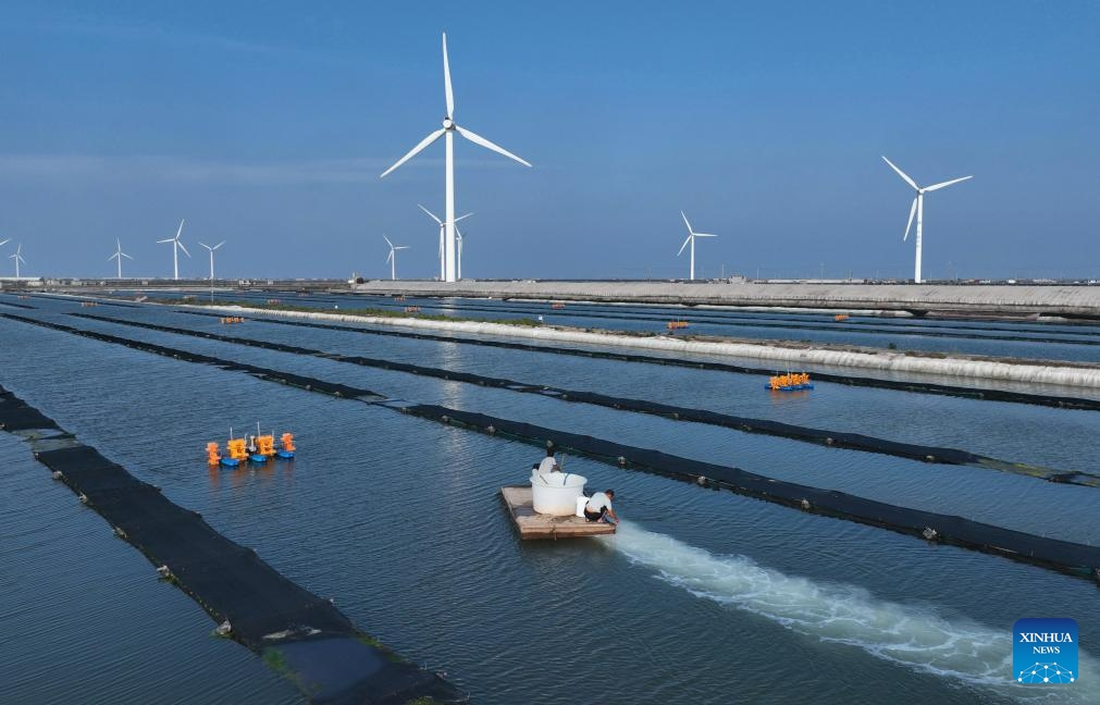This aerial photo taken on July 17, 2023 shows villagers operating at a marine farm in Jianggezhuang Township, Laoting County, north China's Hebei Province. Laoting County has been actively developing marine farming in an effort to enrich seafood supply while mitigating intensity of inshore fishing and maintaining ecological balance in the oceanic environment.(Photo: Xinhua)