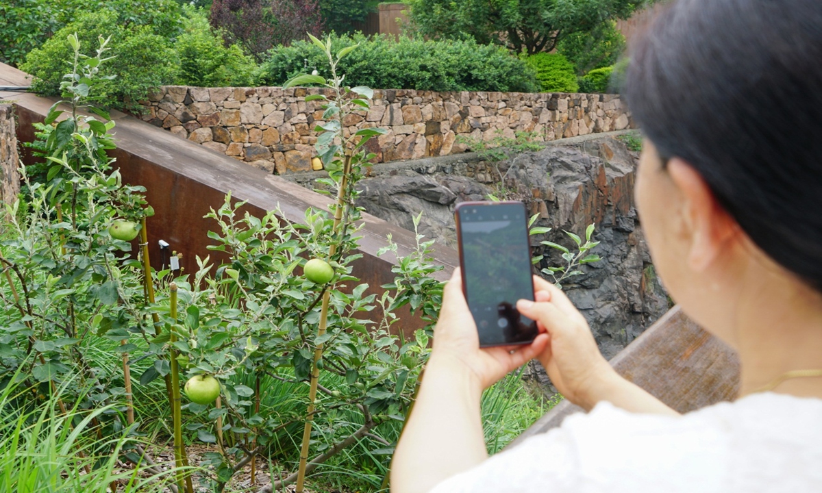 A visitor takes a photo of 