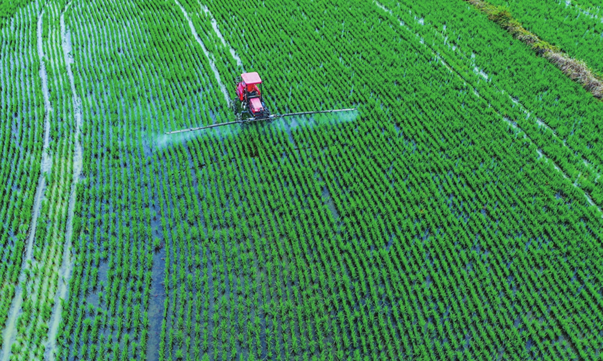 A farmer drives a self-propelled machine to spray foliar fertilizer on seedlings in Xinyang, Central China's Henan Province on July 19, 2023. At the height of summer, farmers around the country are seizing the time to conduct field management, including pest prevention and fertilization, in a bid to have a good harvest in autumn. Photo: VCG