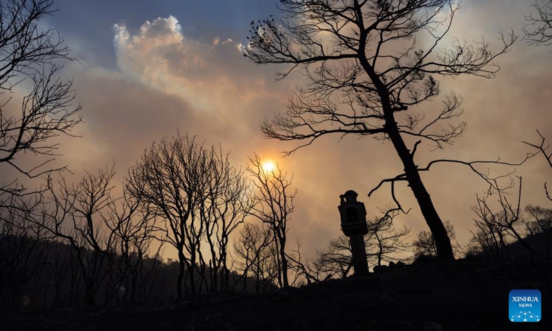 This photo taken on July 18, 2023 shows burned trees and smoke following a wildfire in Mandra, a western suburb of Athens, Greece. Hundreds of Greek firefighters continued for a second day on Tuesday to battle two major wildfires near Dervenochoria, some 30 km northwest of Athens, and near the seaside resort of Loutraki, about 80 km southwest of the capital, authorities said.(Photo: Xinhua)