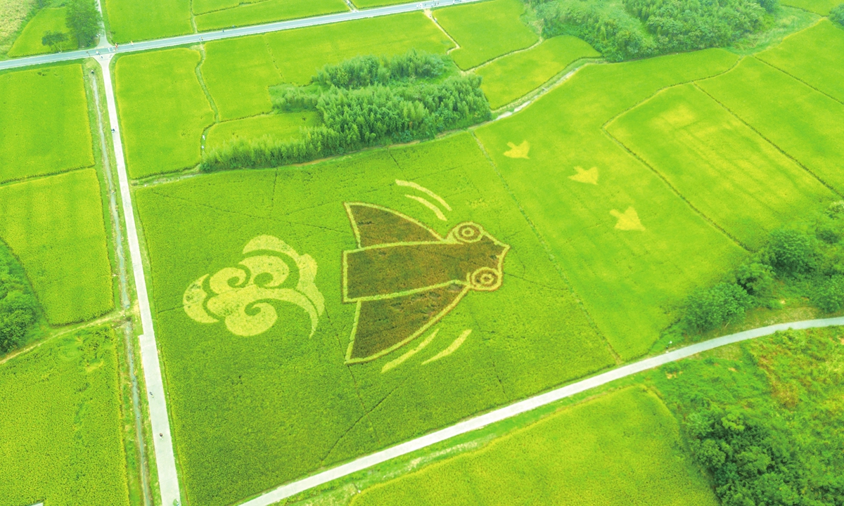 Liangzhu National Archaeological Site Park Photo: VCG