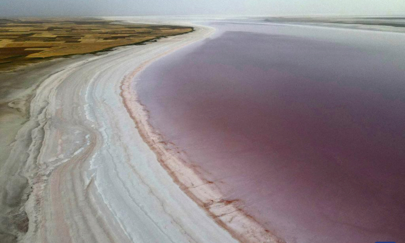 This aerial photo taken on July 27, 2023 shows a view of Tuz Golu in Türkiye. Tuz Golu featuring vibrant pink color is a salt lake in Türkiye. (Mustafa Kaya/Handout via Xinhua)