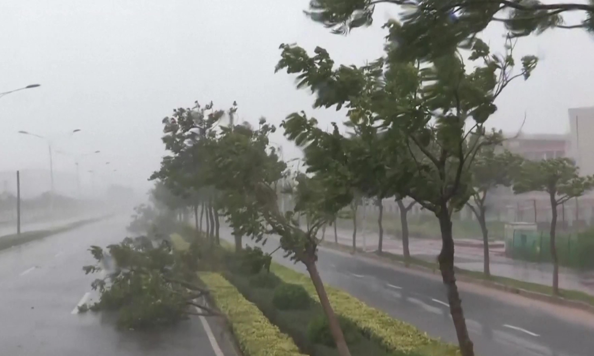 Trees fall down due to the impact of typhoon Doksuri in East China's Fujian Province on July 28, 2023. Photo: VCG
