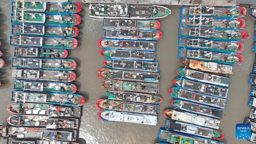 This aerial photo taken on Aug. 1, 2023 shows fishing boats taking shelter from the approaching Typhoon Khanun at Shenjiamen port in Putuo District of Zhoushan, east China's Zhejiang Province. The summer fishing ban, which was scheduled to end at noon of Aug.1, is extended as a precaution against Typhoon Khanun.(Photo: Xinhua)