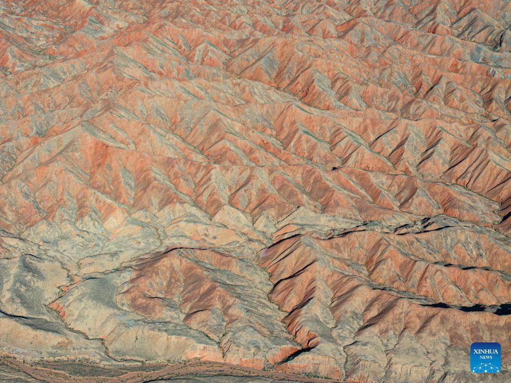 This aerial photo taken on Aug. 7, 2023 shows a view of Danxia landform at Danxia National Geological Park in Zhangye, northwest China's Gansu Province. Boasting a unique type of geomorphology formed from red-colored sandstones and characterized by steep cliffs, the Danxia National Geological Park has attracted an average of over 35,000 visitors daily since August.(Photo: Xinhua)