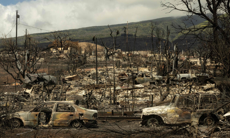 Carcasses of cars can be seen among the ashes of a burnt neighborhood in the aftermath of a wildfire, as observed in Lahaina, western Maui, Hawaii on August 14, 2023. Photo: VCG