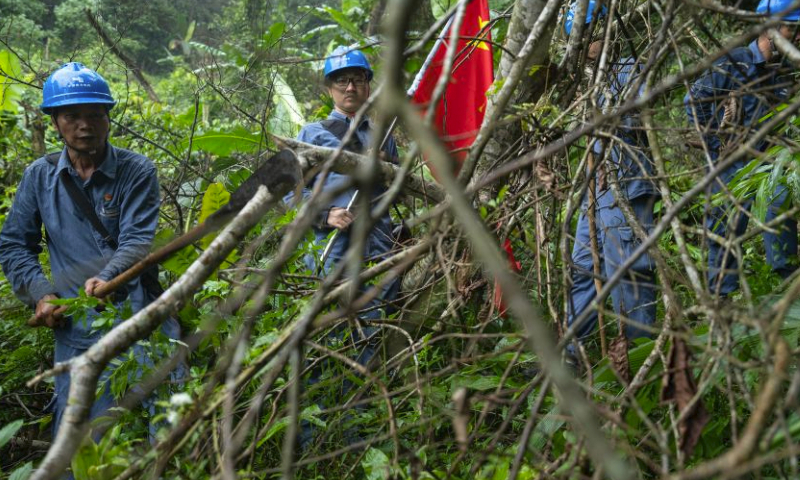 Wen Xianwen (1st L) clears a fallen tree with his machete during a patrol mission in Pingxiang, south China's Guangxi Zhuang Autonomous Region, Aug. 10, 2023. Wen Xianwen, Yao Zhengqiang, Deng Yiqiang and Li Yingxing are members of a team of maintenance personnel from the Guangxi branch of China Southern Power Grid's Pingxiang power supply station. Workers of the team, which was founded in 1974, have patrolled nearly 250,000-kilometer-long power transmission lines over the past 49 years. Led by Wen at present, the team has entered its fourth generation.