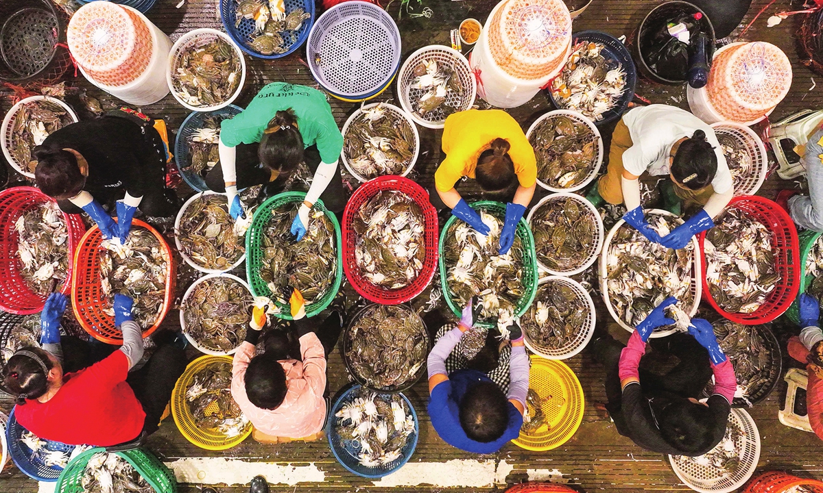 Fishermen sort swimming crabs in an aquatic production center in Zhoushan, East China's Zhejiang Province on August 14, 2023. It's the season for harvesting swimming crabs, and local workers are ramping up efforts to catch and transport aquatic products, in a bid to meet domestic and overseas demand. Photo: VCG