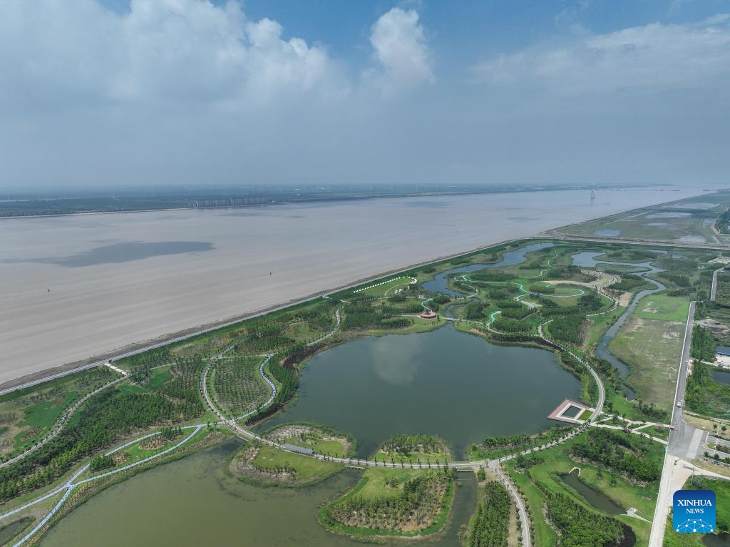 This aerial photo taken on July 24, 2023 shows a view of a riverside park in Qidong, east China's Jiangsu Province. Chongming District and Pudong District of Shanghai, along with Qidong City of Jiangsu, are located in the estuary of Yangtze River. With its unique advantages, the region has been making concerted effort to further promote high-quality development.(Photo: Xinhua)