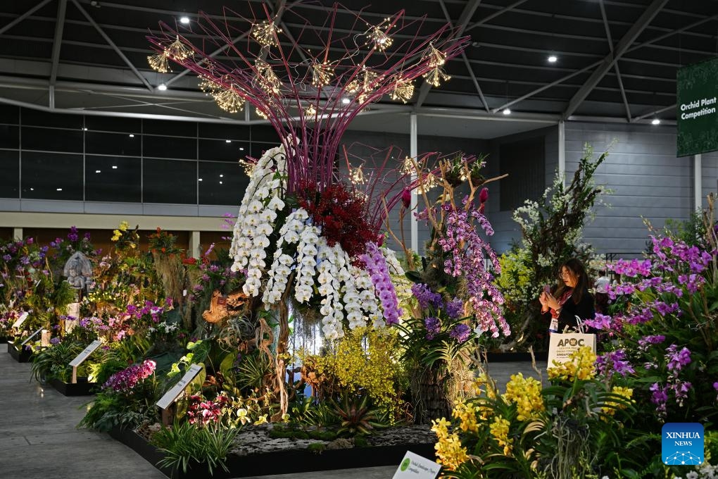 People visit orchid show during 14th Asia Pacific Orchid Conference in