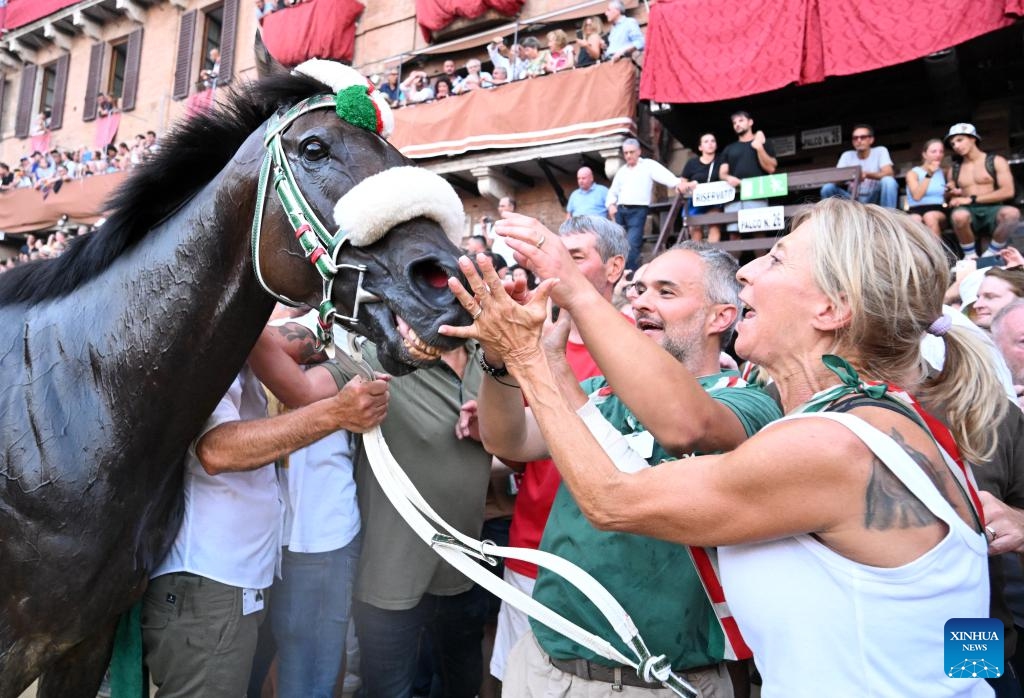 People celebrate with the winner horse during the Palio in Siena, Italy, on Aug.16, 2023. Palio in Siena, or Palio di Siena in Italian, is a historical horse race held twice a year in Siena since 1656.(Photo: Xinhua)