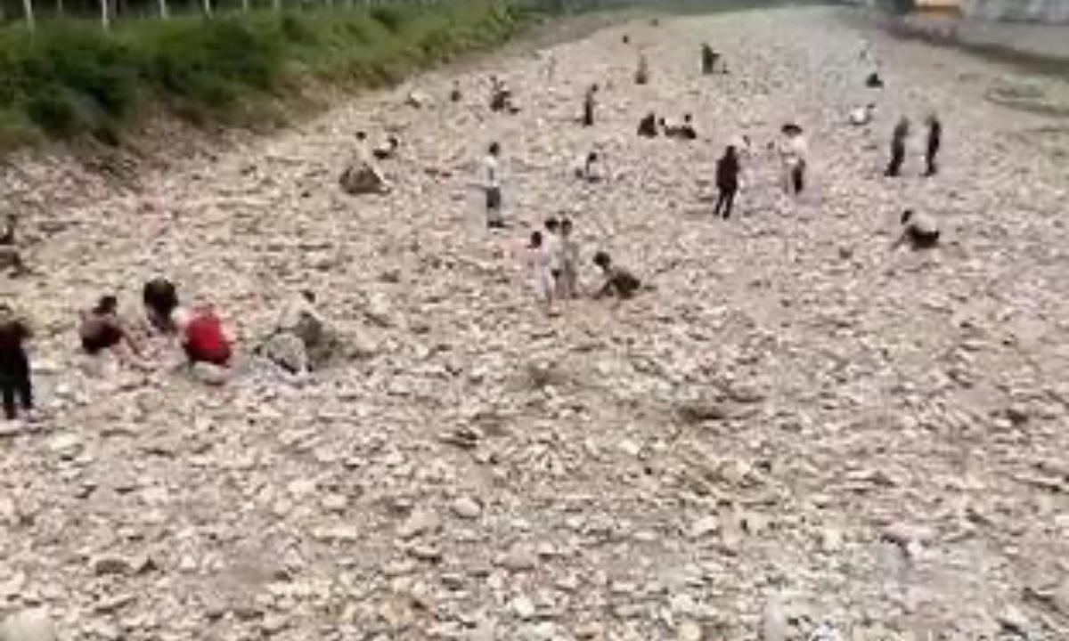 A man in Beijing threw brass granules in a river in Fangshan District, which had just experienced floods, and fabricated the gimmick of “gold rush” to attract some nearby residents to go to?the river to prospect for gold, local police noted in a statement on Sunday. photo: Sina Weibo