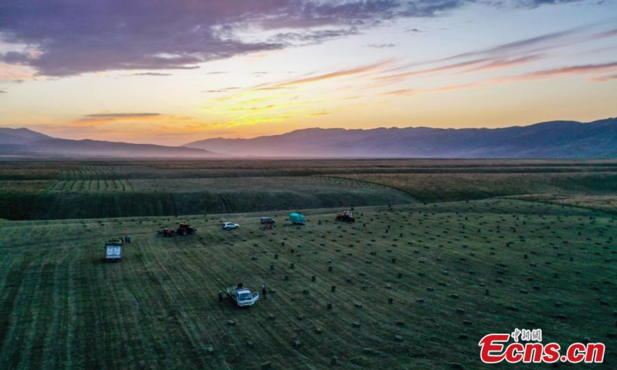 Machines harvest grasses on Nalati grassland in Xinjiang Uyghur Autonomous Region. Photo: China News Service
