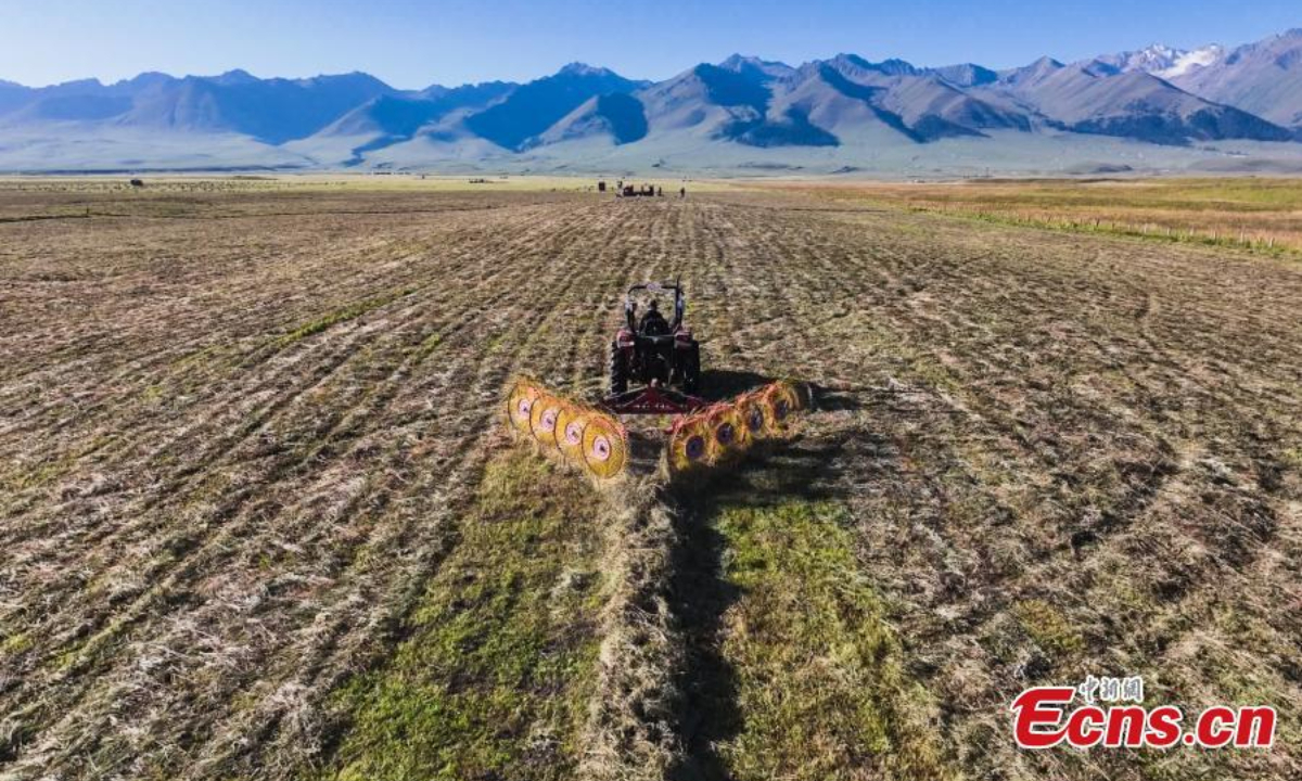 Machines harvest grasses on Nalati grassland in Xinjiang Uyghur Autonomous Region. Photo: China News Service